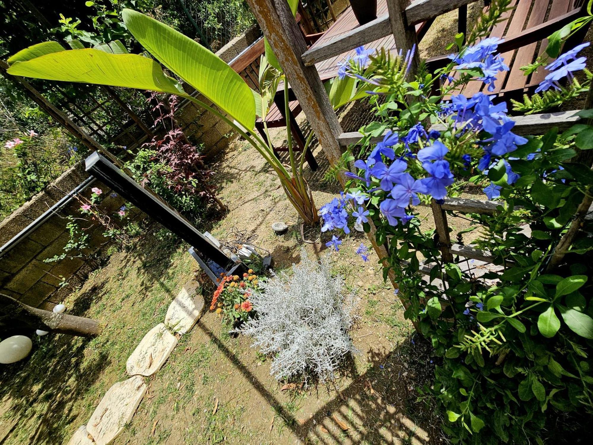 Prestige Casa Vacanze กาตันซาโร ภายนอก รูปภาพ
